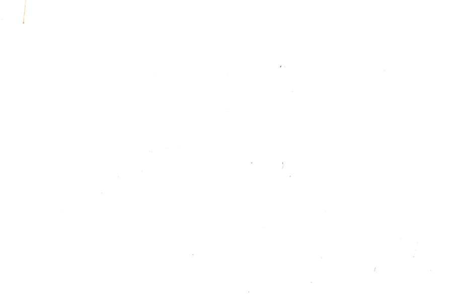 Image 31